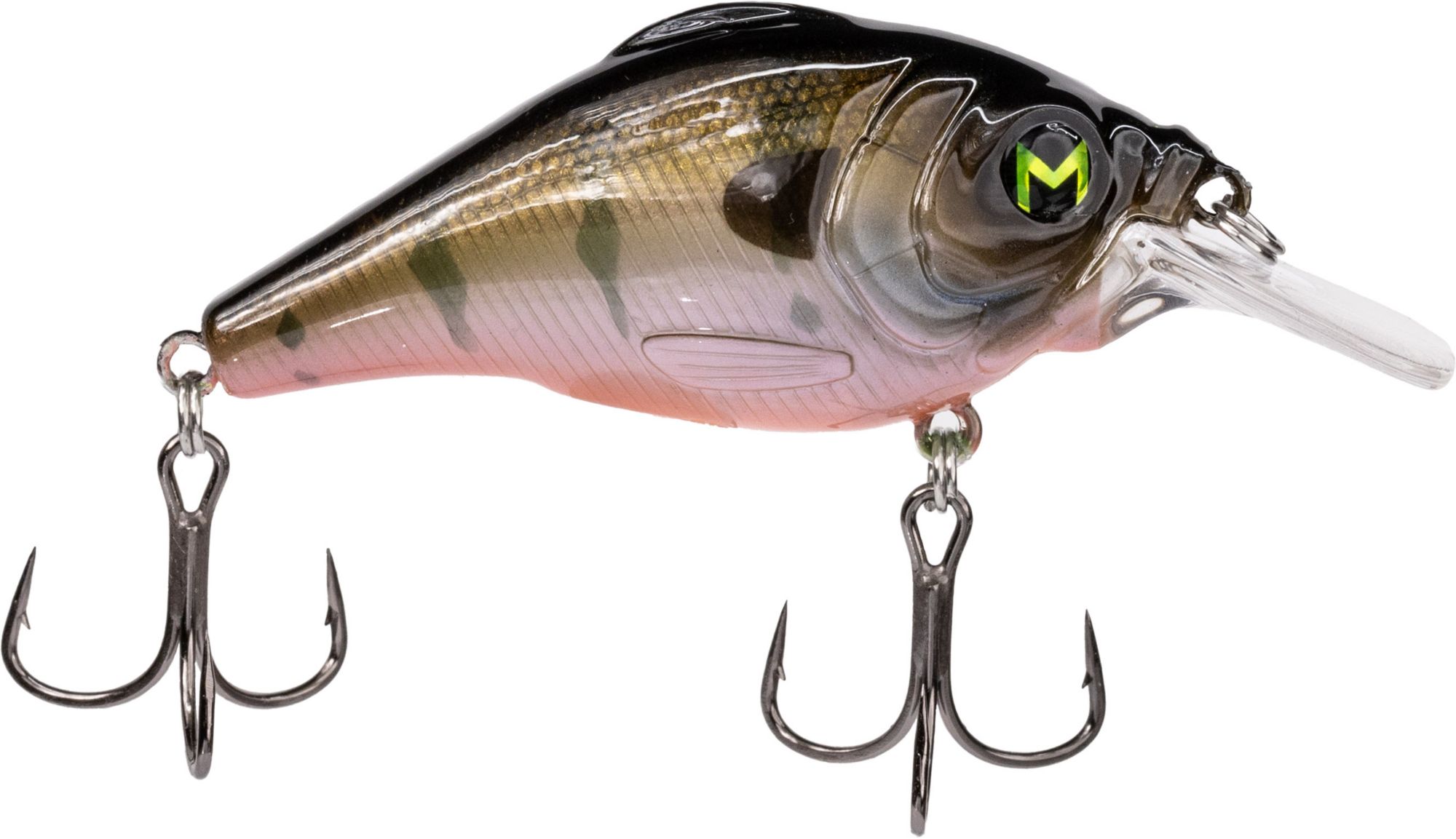 Ghost Gill