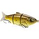 Golden Shad