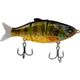 Killer Gill