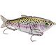 Rainbow Trout