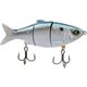 Sexy Shad