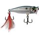 Sexy Shad