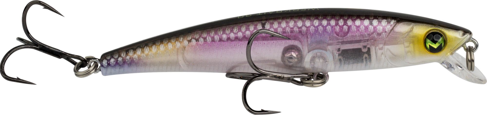 Clearwater Minnow