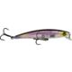 Clearwater Minnow