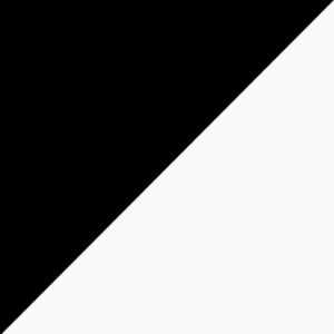 Black/White