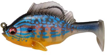 Cichlid