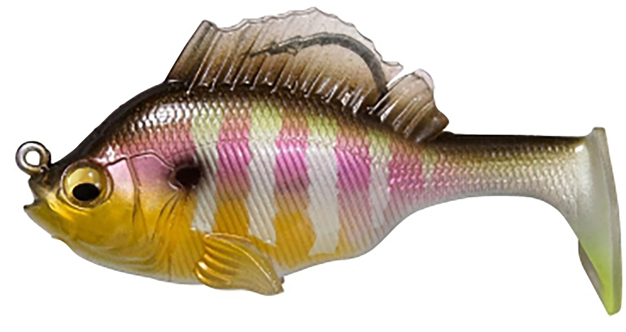 Gill