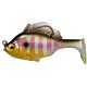 Gill