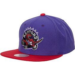 Mitchell & Ness Men's Toronto Raptors Two Tone Baseball Snapback Hat