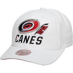 NHL Carolina Hurricanes Moneymaker Hat