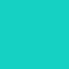 Clear Jade/Clear Jade/Wht