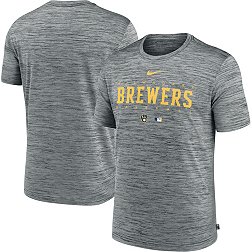 Nike Men's Milwaukee Brewers Gray Authentic Collection Velocity T-Shirt