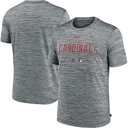 Nike Men's St. Louis Cardinals Gray Authentic Collection Velocity T-Shirt