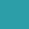 Dusty Cactus