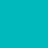 Dusty Cactus