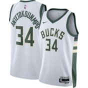 Nike Adult Milwaukee Bucks Giannis Antetokounmpo #34