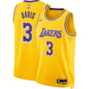 Nike Adult Los Angeles Lakers LeBron James 23 Icon Jersey Dick s Sporting Goods