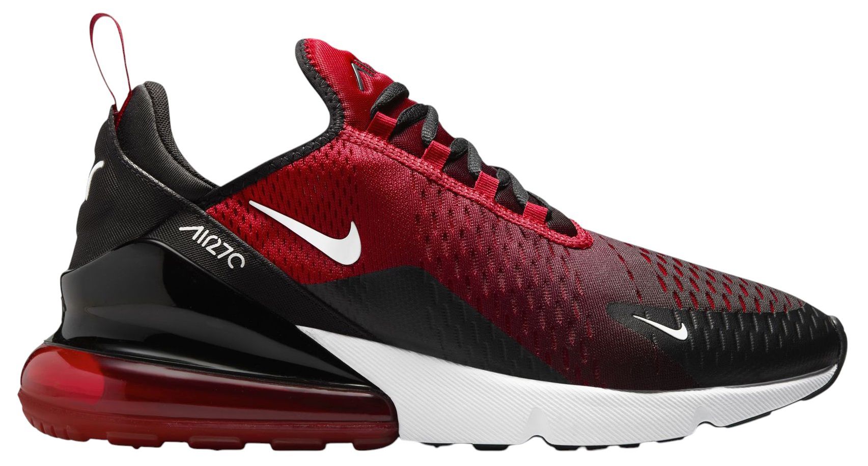 Berry Bold