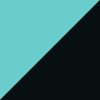 Hyper Turq/Black
