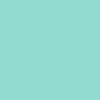 Washed Teal