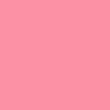 Aster Pink