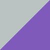 Purple/Silver