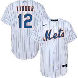 PaulsBoutiqueUS New York Mets Lettering Kit for An Authentic, Replica or Youth Home Jersey - Any Name & Number