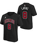 NIKE Chicago Bulls Zach Lavine Jersey - Adult Small - Swingman For $80 In  Westfield, IN