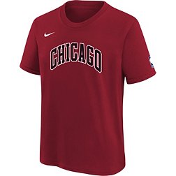 Nike Youth 2022-23 City Edition Chicago Bulls Crimson Logo T-Shirt