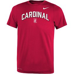 Nike Youth Stanford Cardinal Cardinal Dri-FIT Legend Football Sideline Team Issue Arch T-Shirt