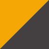 Gold/Black