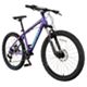 Purple/Blue/Gray 2