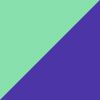 Teal/Violet