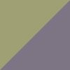 Fern/Grey
