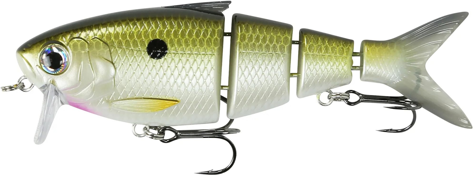 Tennessee Shad