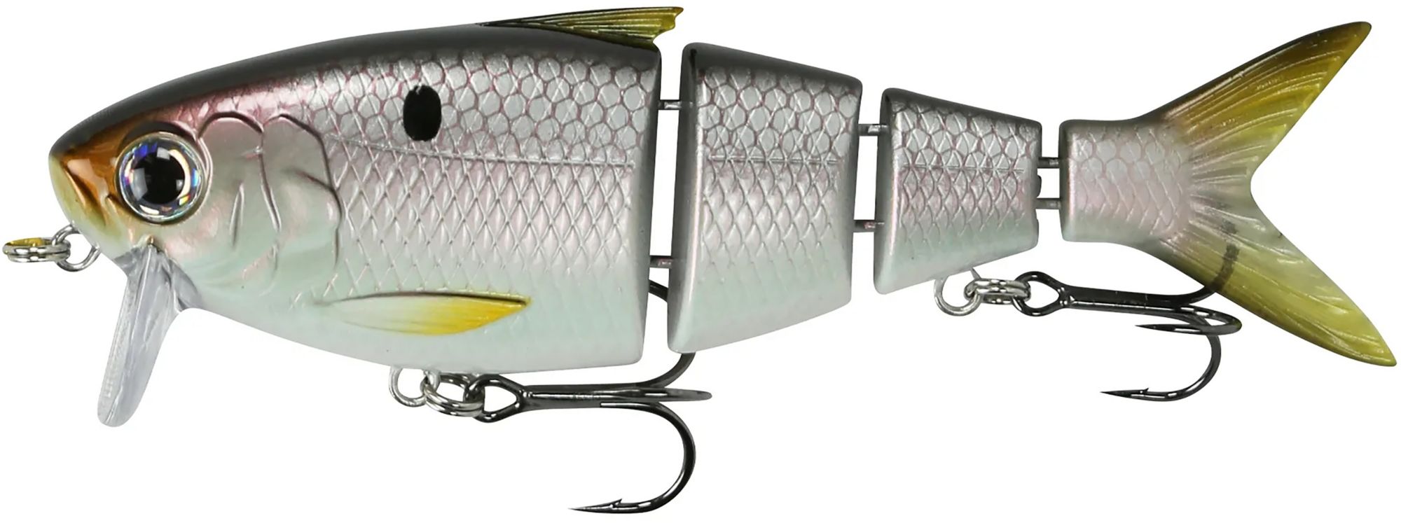 Threadfin Shad