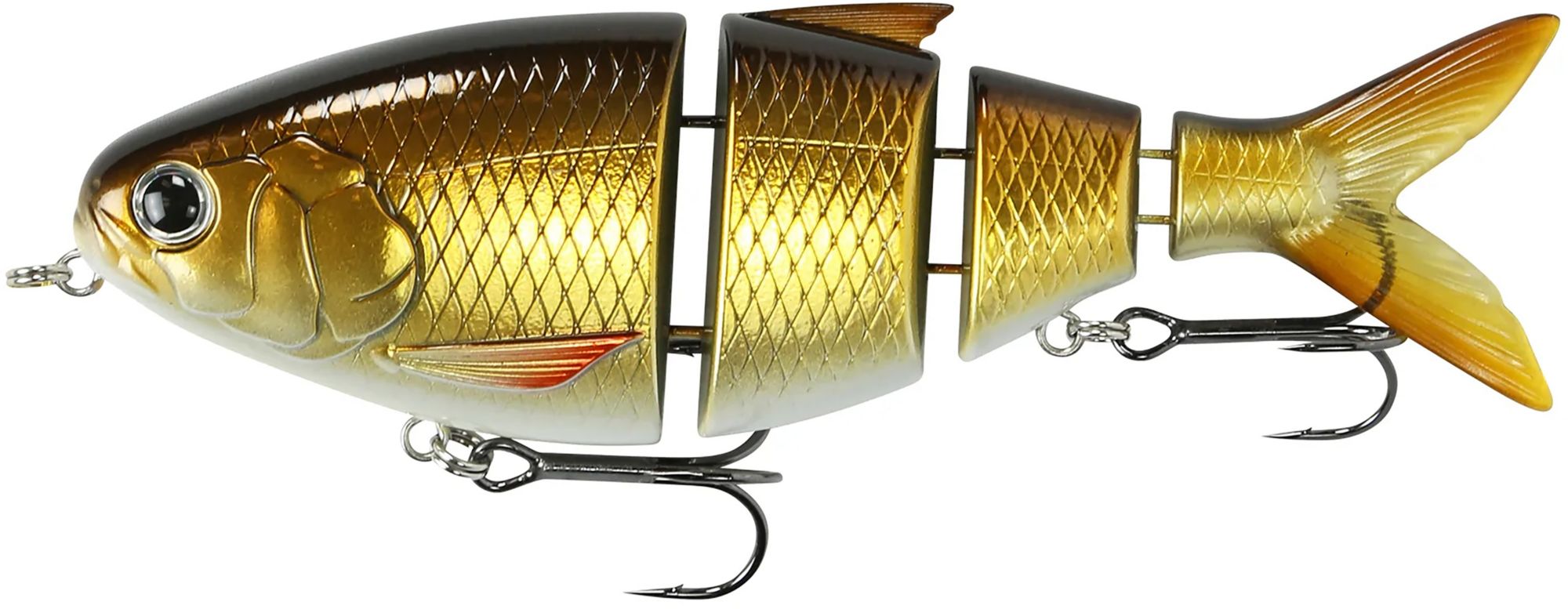 Golden Shiner