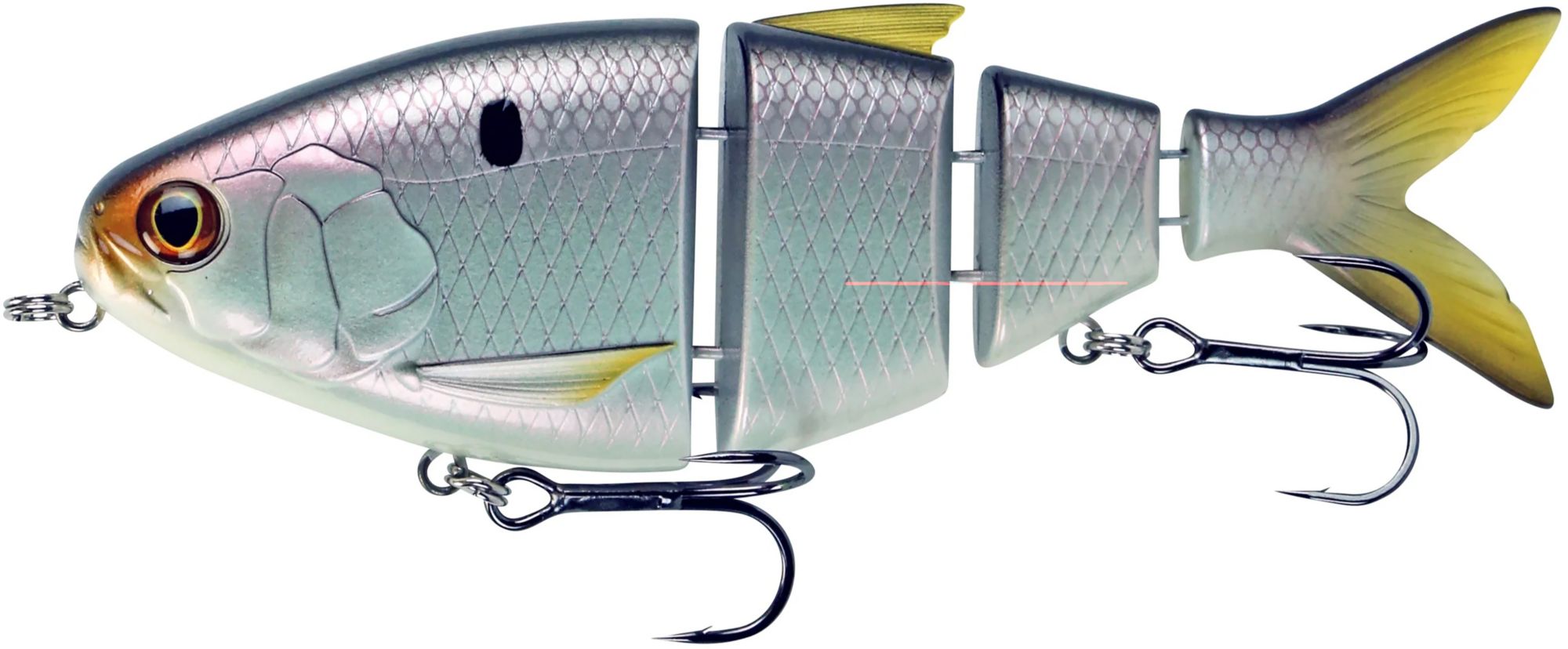 Threadfin Shad