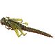 Green Pumpkin Red Craw