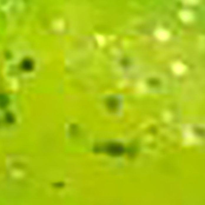 Citrus Blast
