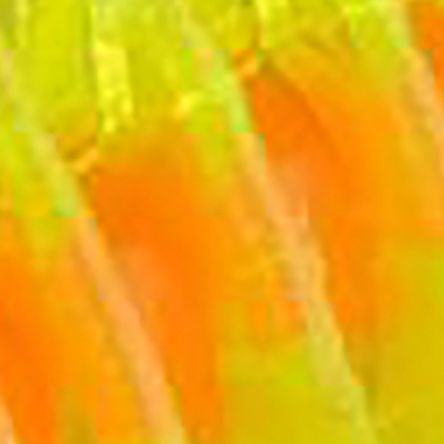 Citrus