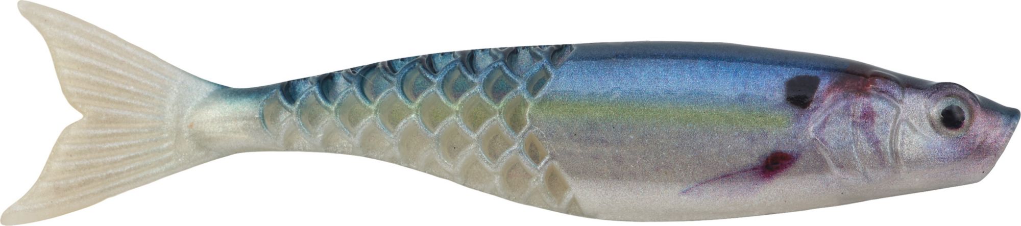 HD Gizzard Shad