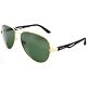 Shiny Gold/G15 Polarized