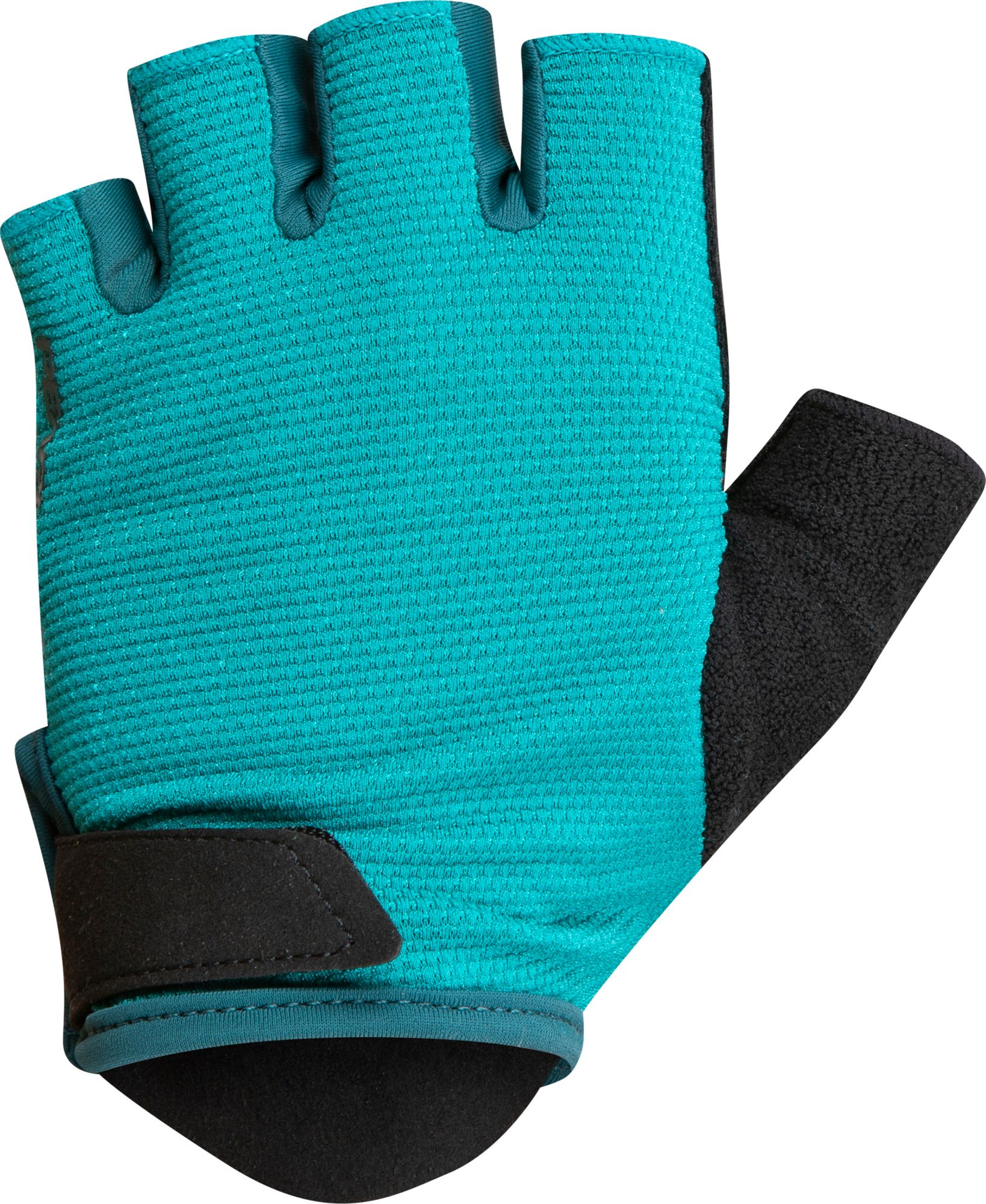 Dark Spruce/Gulf Teal