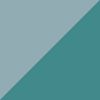 Arctic/Gulf Teal