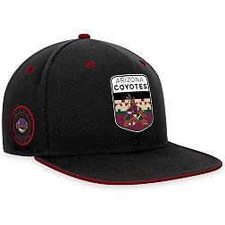 NHL Arizona Coyotes 2023-2024 Authentic Pro Draft Snapback Hat