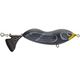 Black Duck