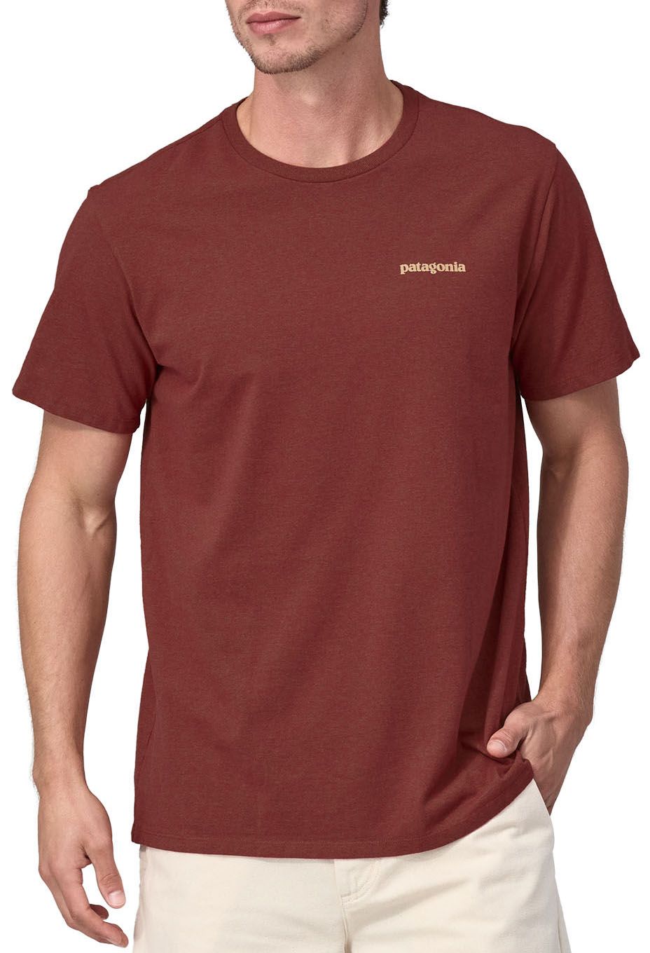 Patagonia Adult Fitz Roy Icon Responsibili-Tee T-Shirt, Men