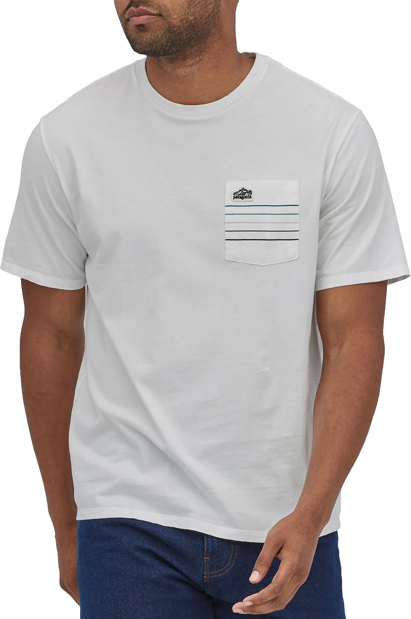 Patagonia Men's Line Logo Ridge Stripe Organic Pocket T-Shirt