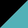 Black/Aqua